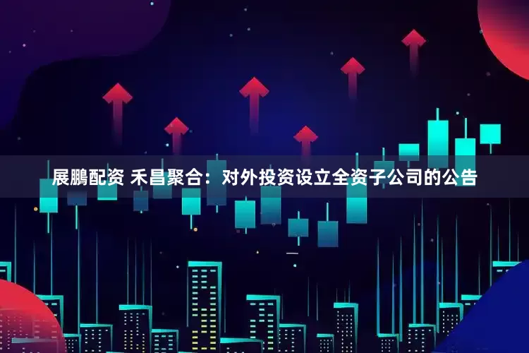 展鵬配资 禾昌聚合：对外投资设立全资子公司的公告