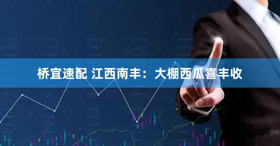 桥宜速配 江西南丰：大棚西瓜喜丰收