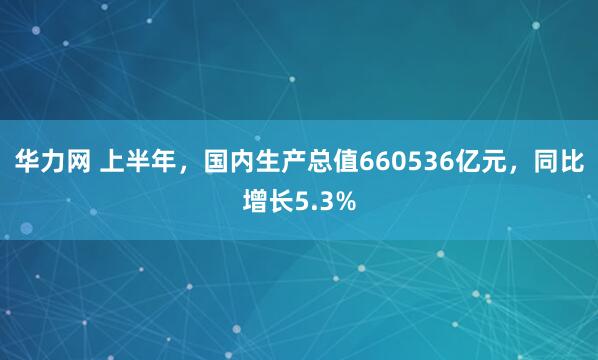 华力网 上半年，国内生产总值660536亿元，同比增长5.3%