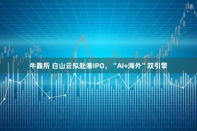 牛鑫所 白山云拟赴港IPO，“AI+海外”双引擎