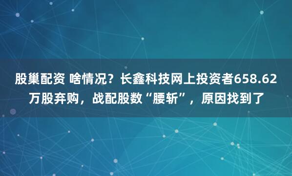股巢配资 啥情况？长鑫科技网上投资者658.62万股弃购，战配股数“腰斩”，原因找到了